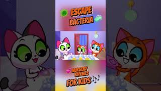 Avoid Germs amp Bacteria 🦠Wash Your Hands 🧼 Nursery Rhymes for Kids 😻 Purr Purr [upl. by Leahicm]