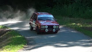 Rallye des Bornes VHC 2017 [upl. by Oswell]