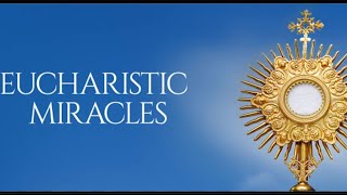 Eucharistic miracles eucharisticmiracles jesusmiracle 🥹 Julia Kim ✝️ [upl. by Rimaa]