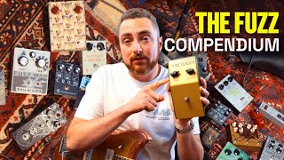 Watch This Before You Buy a Fuzz Pedal The Fuzz Compendium [upl. by Morten]