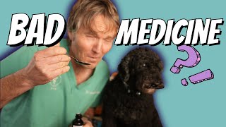 Stop Using This OTC Medicine for Dog Coughing A new Safe and Effective Natural Option [upl. by Adele518]