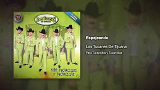 Espejeando  Los Tucanes De Tijuana Audio Oficial [upl. by Eynttirb]