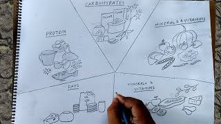 how to draw sources of carbohydrates  proteins and fats [upl. by Andrey893]