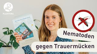 Nematoden gegen Trauermücken So bekämpft ihr die lästigen schwarzen Fliegen [upl. by Thenna]