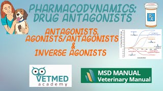 Drug Antagonists AgonistAntagonists and Inverse Agonists [upl. by Yelnet]