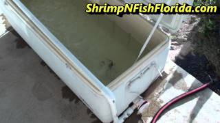 DIY  How To Make A Cooler Livewell Bait Holding Tank from a 128 qt Cooler [upl. by O'Meara]