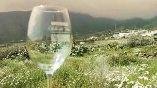 Tenerife Isla de Vinos [upl. by Mareld]