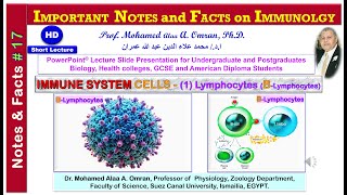 IMPORTANT NOTES and FACTS on IMMUNOLGY  Immune System Cells 1 Lymphocytes BLymphocytes [upl. by Asirap]