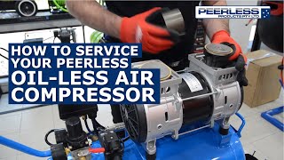 Servicing your Peerless Products Oilless Air Compressor [upl. by Halpern]