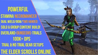 Powerful Stamina Necromancer DPS Build for ESO Gold Road  Stamcro DPS Build [upl. by Conlan]