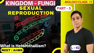 Biological Classification  Fungi  Lecture 42  Biology  Class 11  CBSE  NEET  AIIMS [upl. by Icnarf]