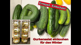 Erntezeit  Einkochzeit Gurkensalat einkochen für den Winter [upl. by Lemak]