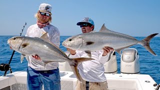 Absolutely INSANE Topwater Amberjack Fishing Action  4K [upl. by Amanda608]