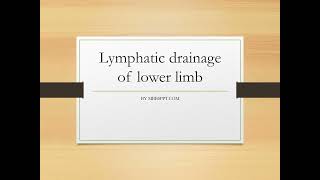 Lymphatic Drainage of Lower Limb PPT Slide Presentation [upl. by Lyndy104]