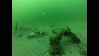 Underneath Davis Bay Pier 101224 [upl. by Friedlander]