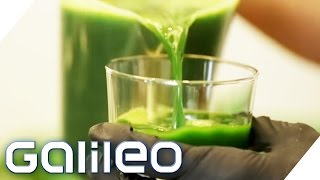 Selbstversuch 5 Tage Detoxkur  Galileo  ProSieben [upl. by Sadinoel381]