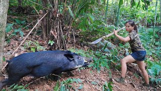 Wild boar has been caught in a trap skills for setting wild boar traps survival alone [upl. by Gonsalve369]