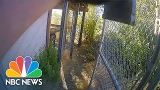 Do A Head Shot Bodycam Shows Owner Asking Police To Kill Pet Chimpanzee [upl. by Lymann]