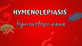 Hymenolepiasis  Hymenolepis nana [upl. by Htinnek]