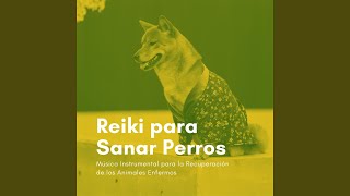 Reiki para Sanar Perros [upl. by Hollinger]