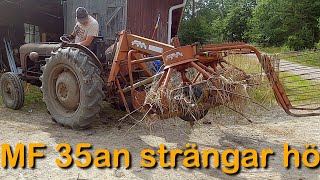 MF 35 strängar hö med Fransgård 300 kombi vändare  Massey Ferguson 35 strängar hö [upl. by Sandy]