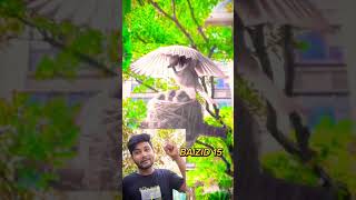 Shorts short funny comedy vikramfunnyvideo vikramcomedyvideo fun viral [upl. by Eecak]