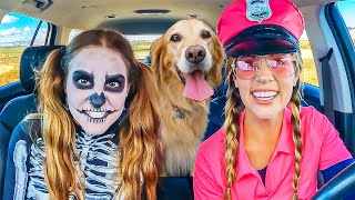 Skeleton Surprises Police and Puppy with Car Ride Chase [upl. by Yeltsew351]