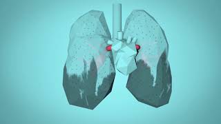 WHO Breathe Life  How air pollution impacts your body [upl. by Ycal]