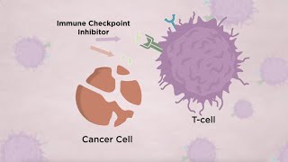 Immune Checkpoint InhibitorRelated Pneumonitis in Lung Cancer  August 2021 [upl. by Glad]