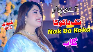 Nak Da Koka  Qaidi 804 Howay  Singer Gulaab  New Full Punjabi Song 2024 [upl. by Leugimesoj]