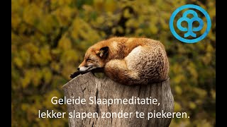 Slaaphypnose Lekker diep slapen zonder te piekeren of wakker te liggen [upl. by Ule400]