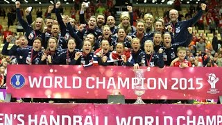 Netherlands VS Norway Handball final Womens World Championship Denmark 2015 [upl. by Lipson]