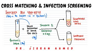 CROSS MATCHING AND SCREENING OF INFECTIONS II HEMATOLOGY II BLOOD BANKING II PATHOLOGY LECTURES II [upl. by Atilam]