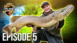 Angler sieht FLUSSMONSTER und fängt es 😱  YPC BANK 2024 Episode 5 [upl. by Samford]