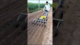 Three Simple Garlic Farming Tools satisfying shot [upl. by Blackwell]