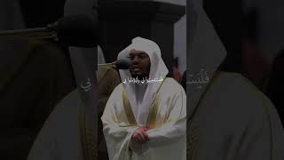 ما تيسر من سورة البقرة بصوت ياسر الدوسري القرآنالكريم الاسلامshortvideo quran qurankareem [upl. by Wilek513]