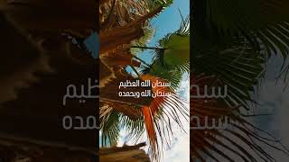 Islamic Knowledge in 60 Seconds  Subscribe Please [upl. by Erich]