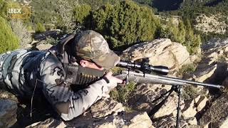 Hunting Beceite Spanish Ibex 2020 vo 24 [upl. by Eiuqram]