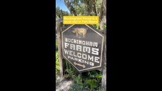 Buckingham Farms  Visit Fort Myers [upl. by Odnomyar]