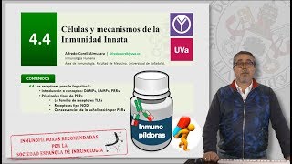 44 CÉLULAS Y MECANISMOS DE LA INMUNIDAD INNATA [upl. by Aliuqa]