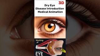 Dry Eye Disease Introduction  Medical Animation  3d short  BiologywithAliya [upl. by Allys]