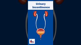 4 Types of Urinary Incontinence  DrTulip JP Nagar [upl. by Kaylee]