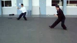 yang tai chi 24 movement short form [upl. by Nedgo951]