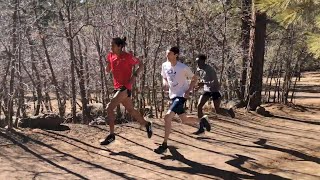 Workout Wednesday NAU Hill Repeats At 7000ft For NCAA XC Champs [upl. by Gusella]