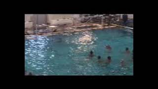 Nov 9 Storm 2024 Waterpolo [upl. by Ramses19]