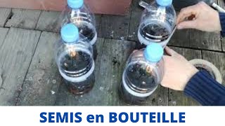 Semis de tomates et courgettes en BOUTEILLE [upl. by Housum]