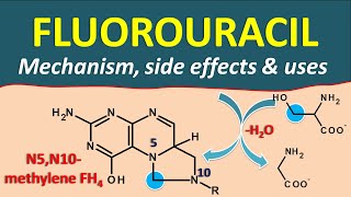 Fluorouracil FU  Mechanism side effects and uses [upl. by Hnaht]