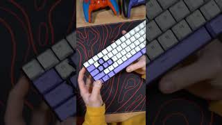 doesnt fit keyboard pc pcgaming palworld [upl. by Thane]