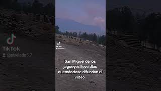 San Miguel de los jagueyes incendio edoméx apoyo pueblounido [upl. by Herries]