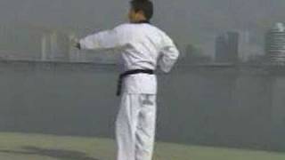 1 Taekwondo Poomsae Taegeuk Il Jang WTF [upl. by Celie]